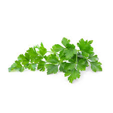Parsley - Tray