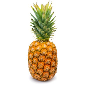 Pineapple - Unit