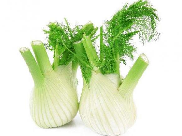 Fennel - Kg