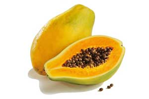 Papaya - Kg